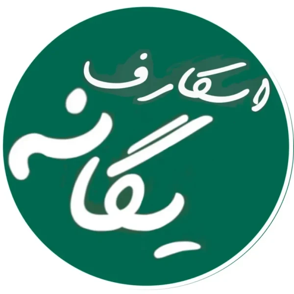 یگانه اسکارف